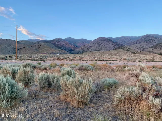 a view of a dry back yard