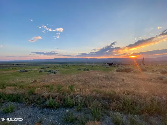 a view of a city with green space