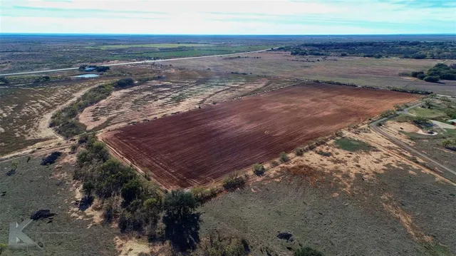 a view of a dry yard with wooden floor