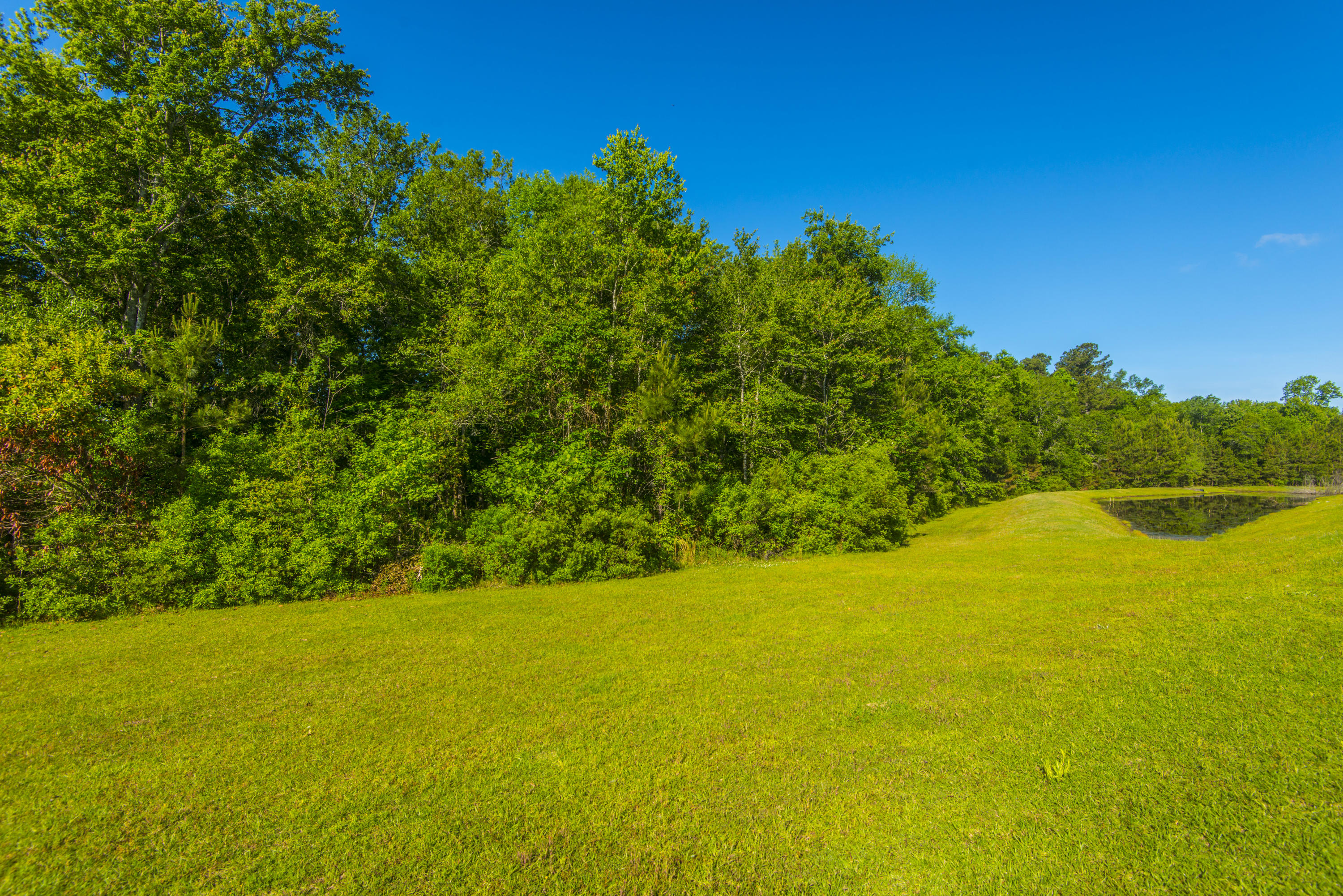 234 Westbrooke Road Summerville, SC 29486 - Photo 38 of 41 _DSC8475