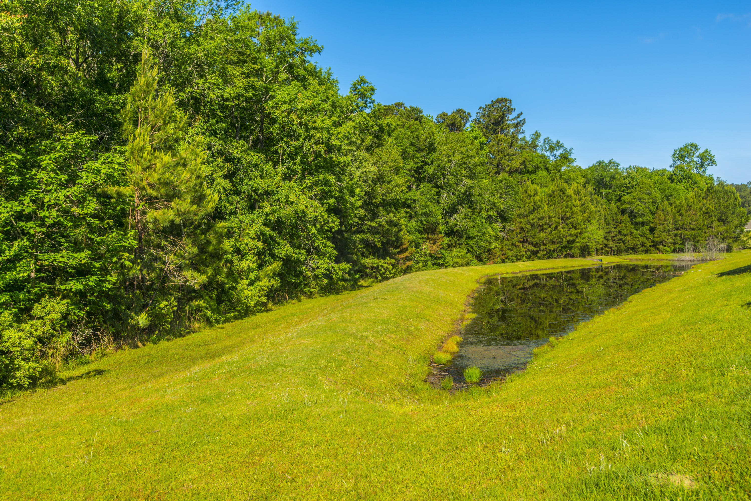 234 Westbrooke Road Summerville, SC 29486 - Photo 40 of 41 _DSC8478