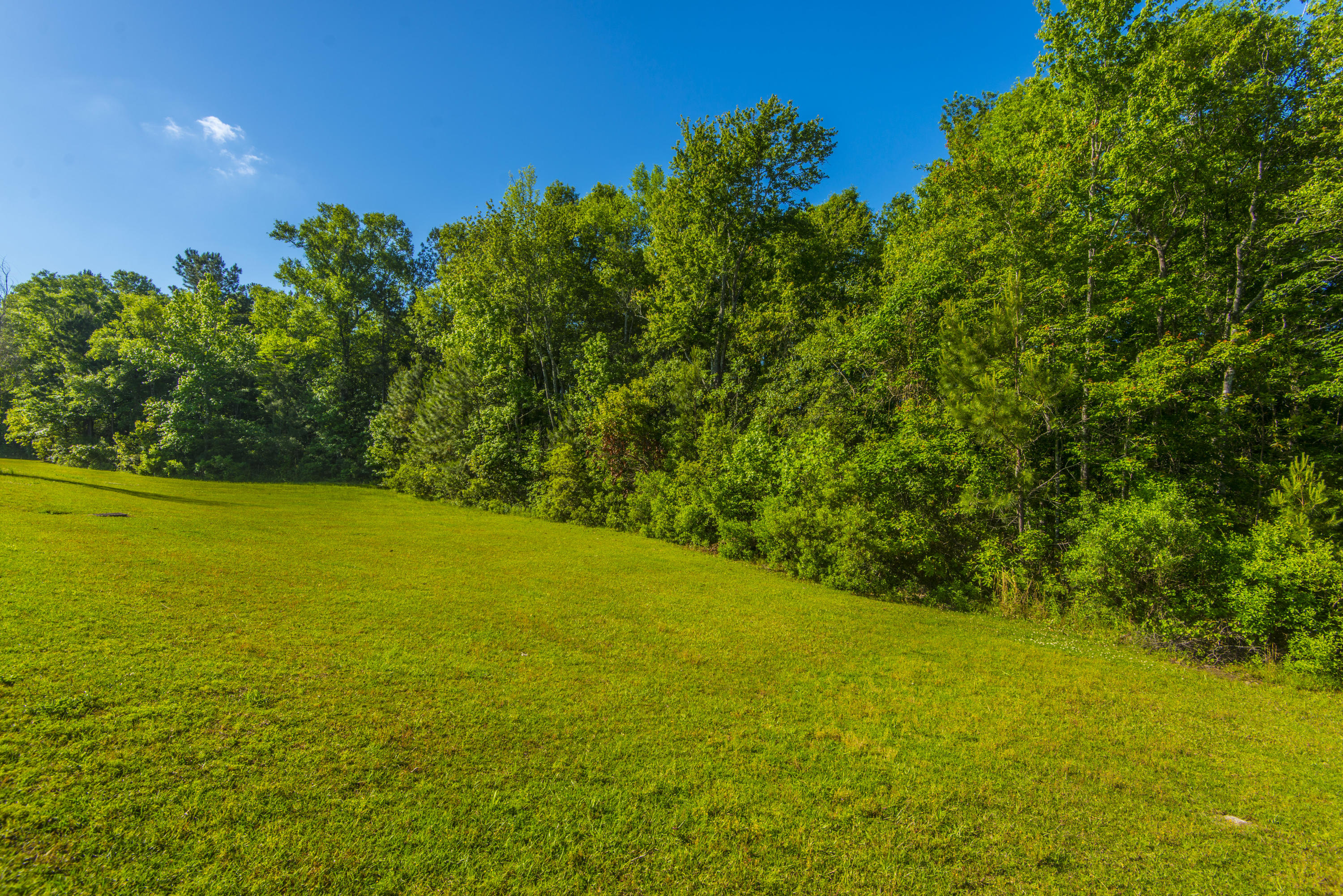 234 Westbrooke Road Summerville, SC 29486 - Photo 41 of 41 _DSC8479
