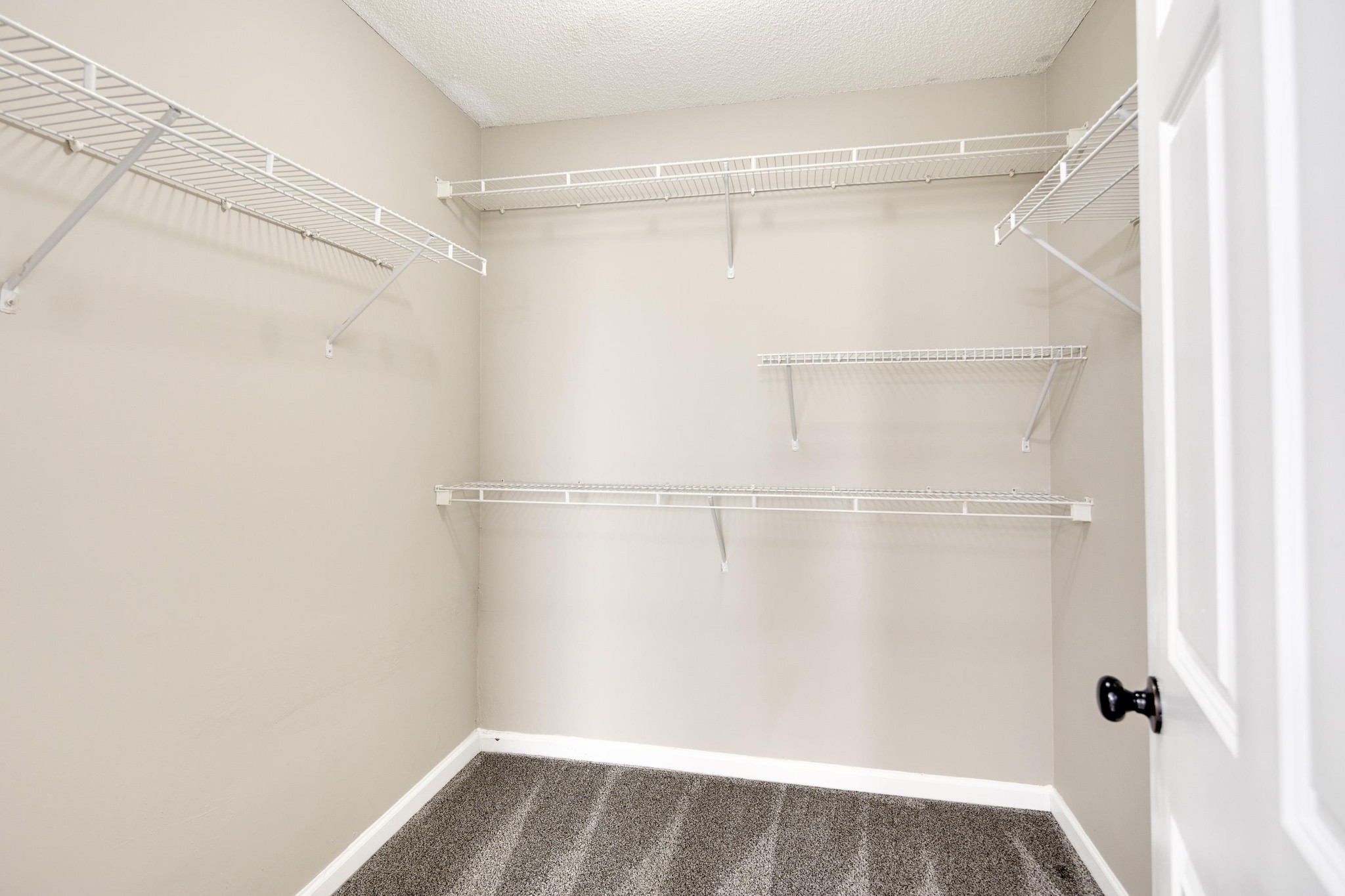 253 Oak Bluff Lane Collierville, TN 38017 - Photo 16 of 23