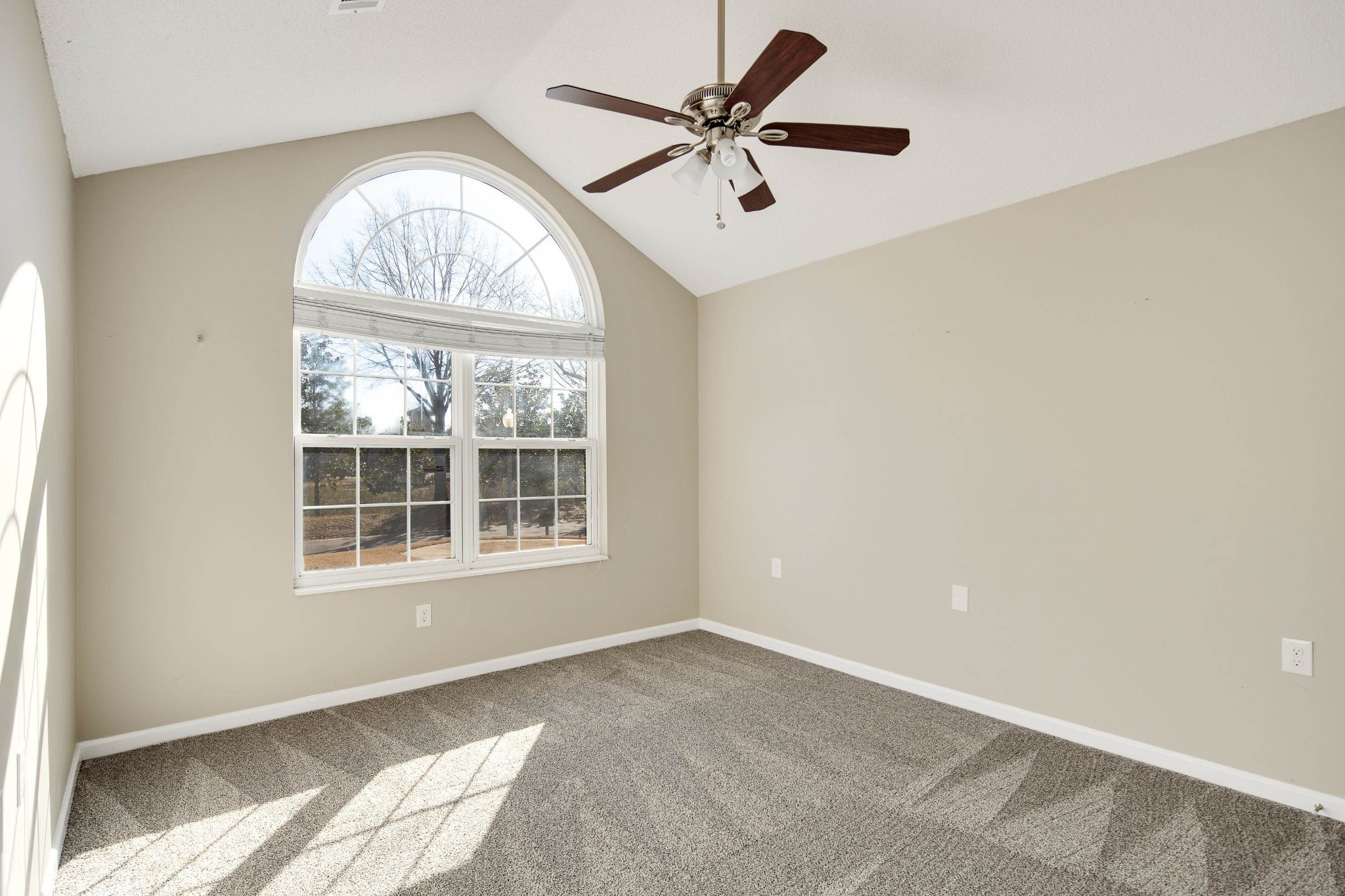 253 Oak Bluff Lane Collierville, TN 38017 - Photo 20 of 23