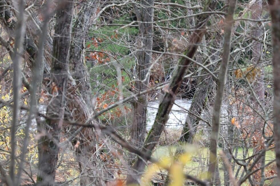 5103 Wilson Road Indian River, MI 49749 - Photo 13 of 45 Gallery Image 13