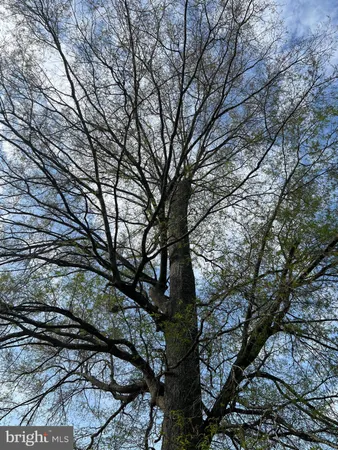 $259,000 | 6705 Bumpy Oak Road, La Plata, MD 20646