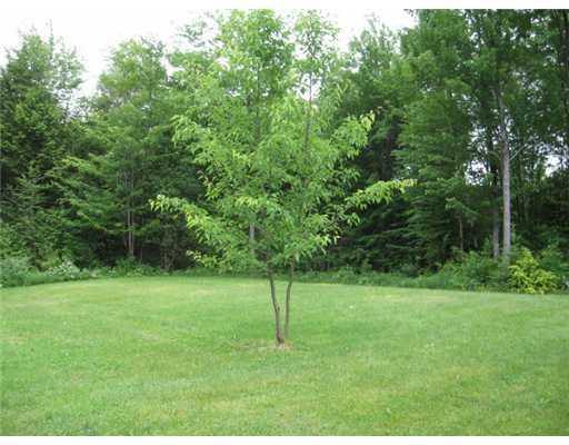 770 Upper Bellsqueeze Road Clinton, ME 04927 - Photo 25 of 25 Yard/Garden. back lawn area - 11+ acres