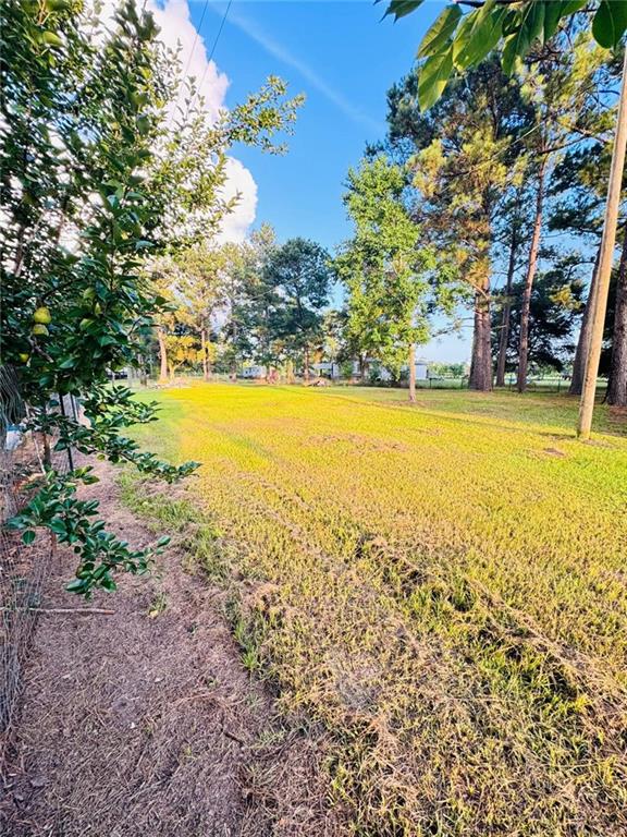 31268 Crain Road Albany, LA 70711 - Photo 6 of 20