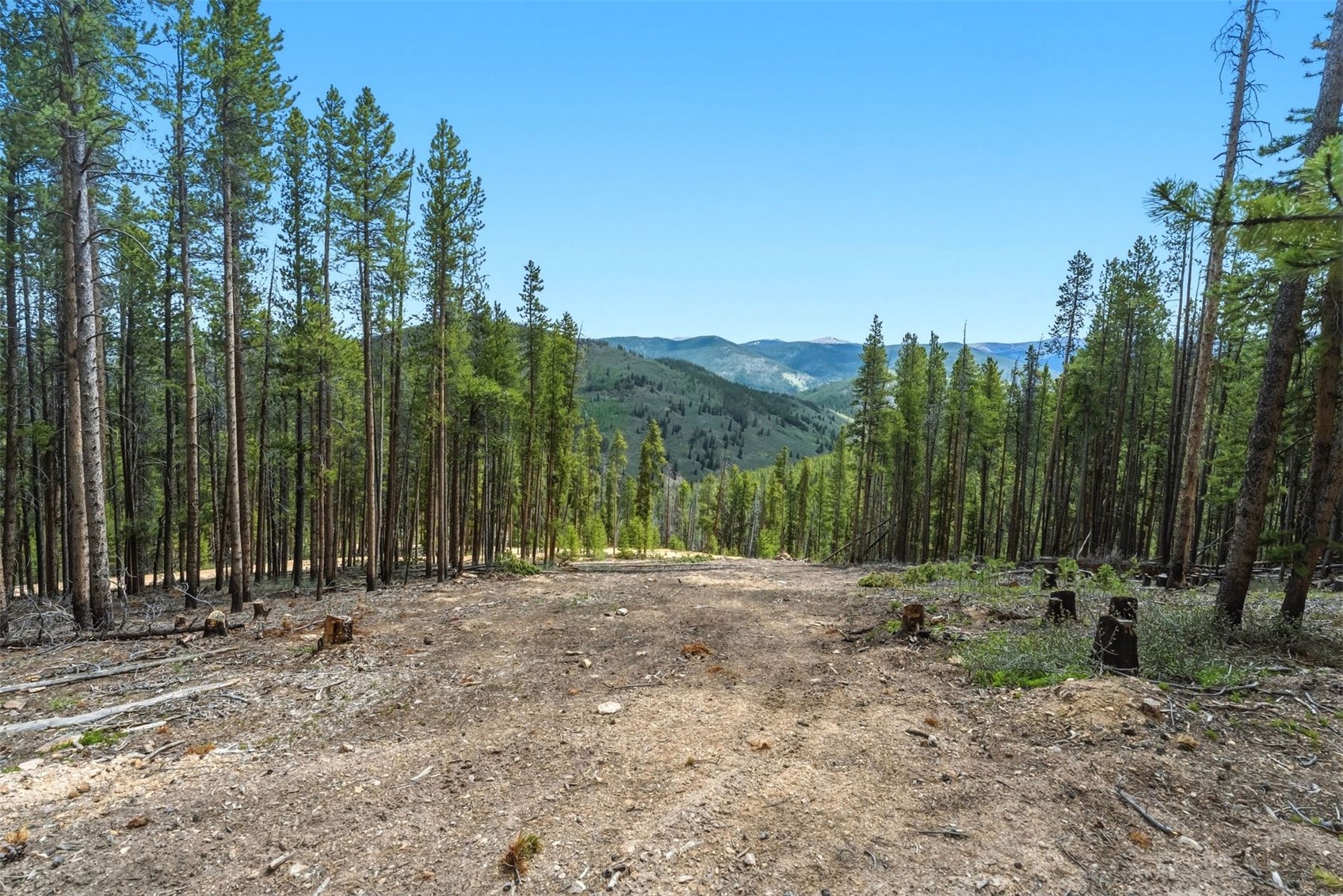 653 Summit Gulch Road Breckenridge, CO 80424 - Photo 7 of 18