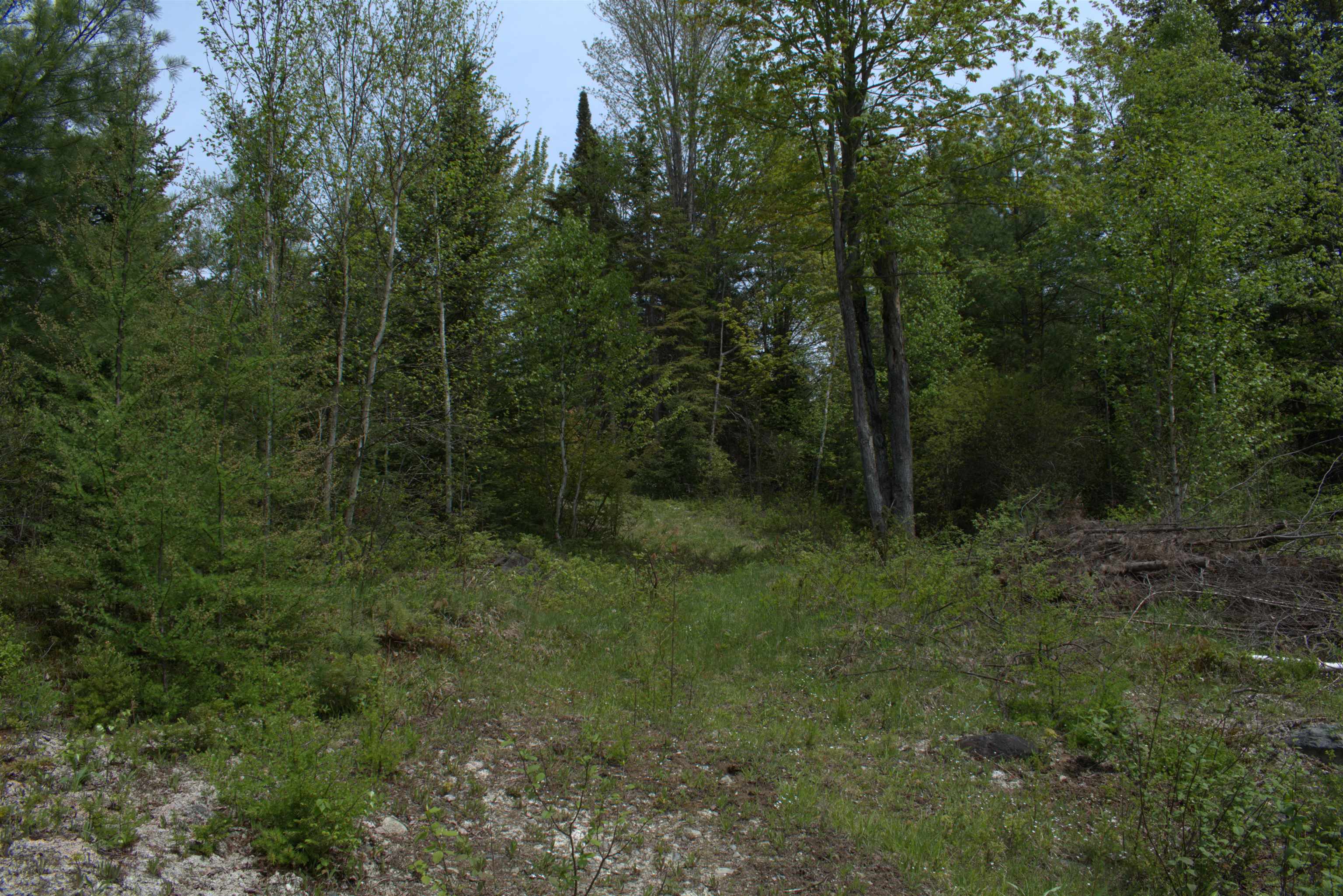 763 East Main Street Lunenburg, VT 05906 - Photo 12 of 39