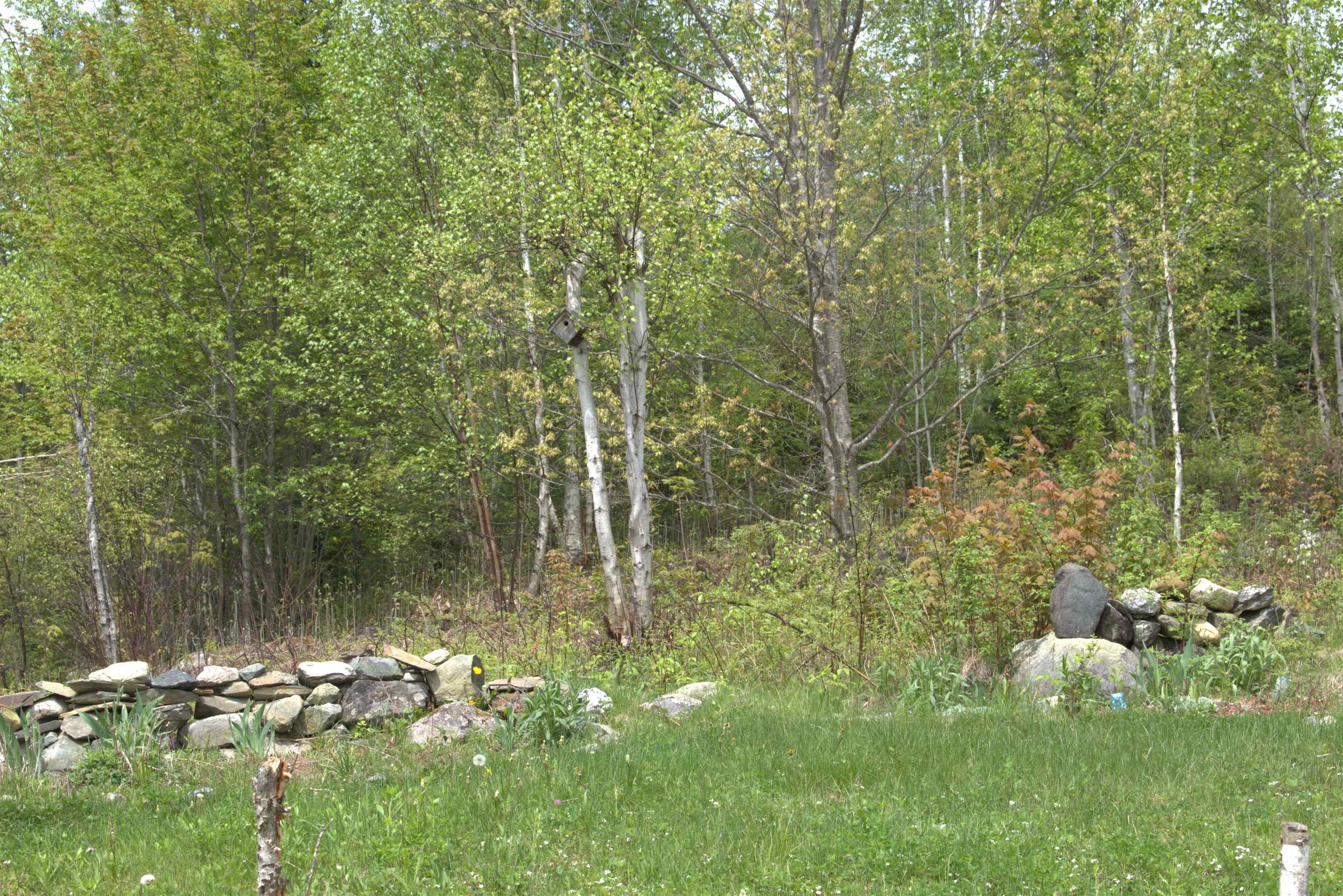 763 East Main Street Lunenburg, VT 05906 - Photo 7 of 39