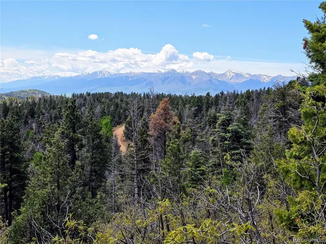 a view of a city with lush green forest