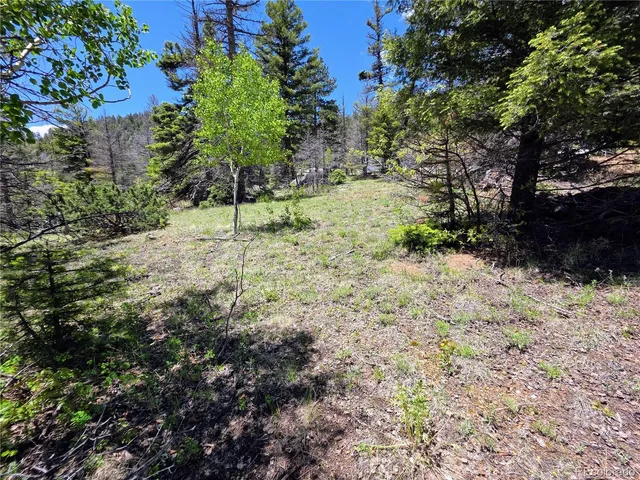 a view of a yard with a tree