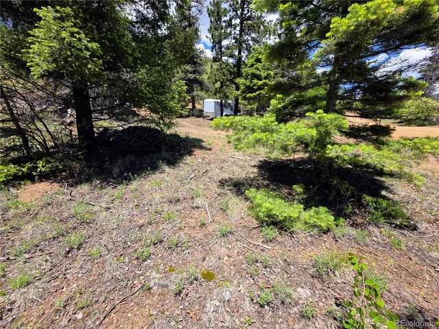 a view of a yard and tree