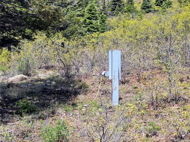 a view of a yard with a snow