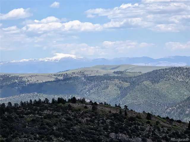 a view of a yard with plants and trees