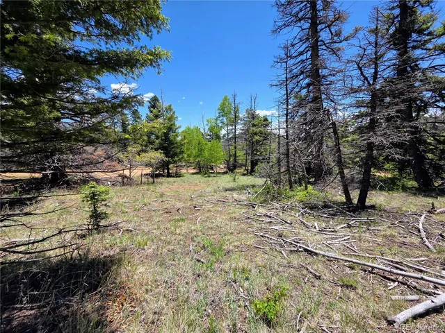 $258,500 | 53 Trail Drive, Cotopaxi, CO 81223