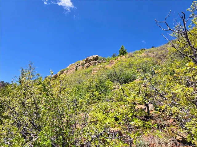 $258,500 | 53 Trail Drive, Cotopaxi, CO 81223