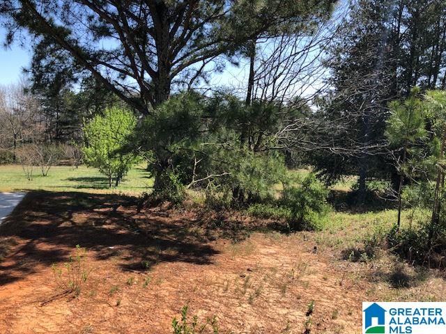 0 High Pointe Drive Warrior, AL 35180 - Photo 6 of 12