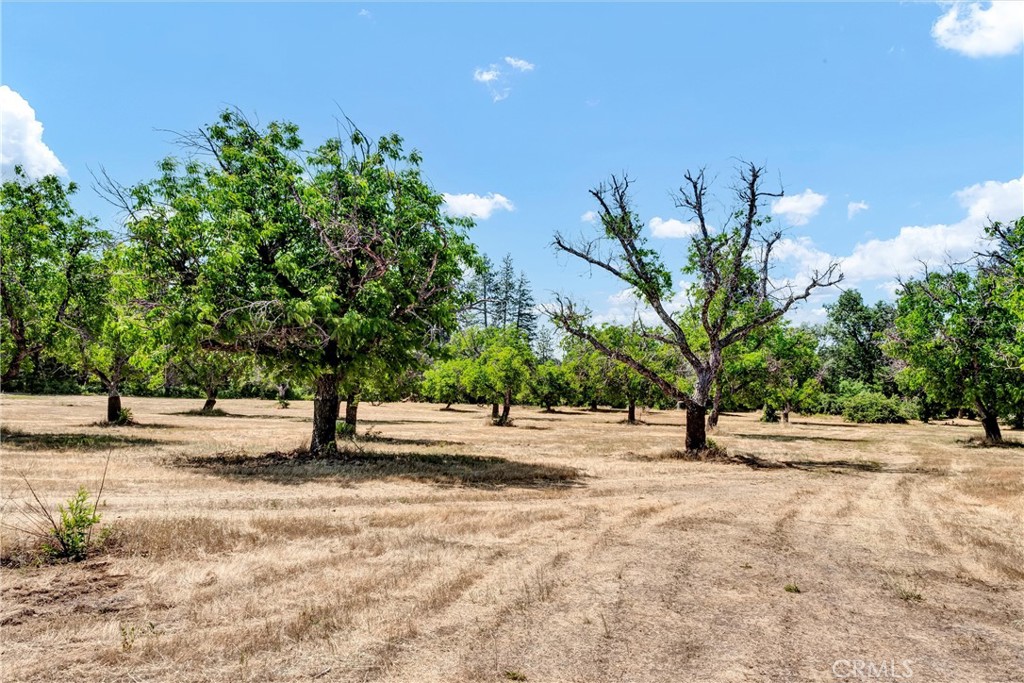 22550 Shady Grove Road Middletown, CA 95461 - Photo 41 of 68