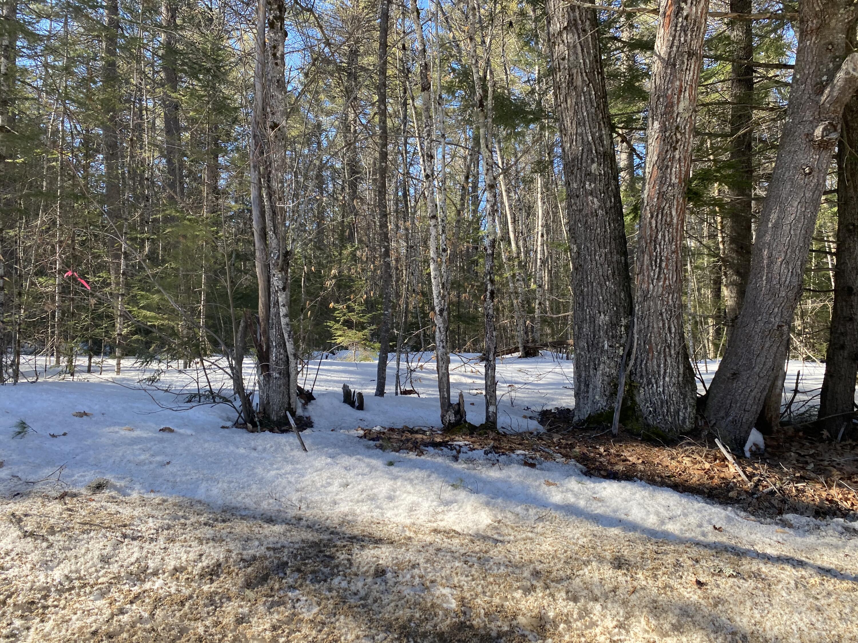 4.4-acres Sebago Road East Baldwin, ME 04024 - Photo 2 of 4 B8C22075-F5DA-495D-B171-EF16235F09C3