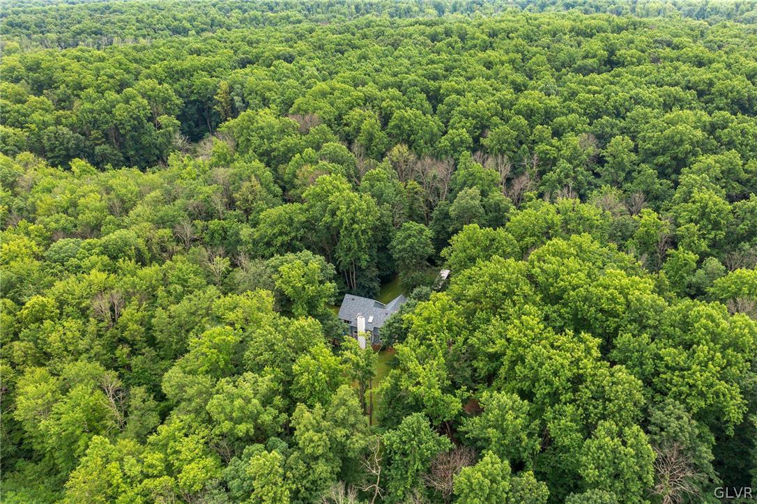 3220 Winding Road Kintnersville, PA 18930 - Photo 16 of 50 a view of a lush green forest