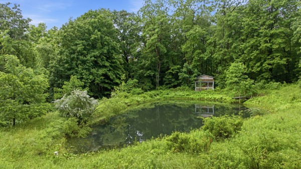 6070 Italy Valley Road Italy, NY 14512 - Photo 9 of 19