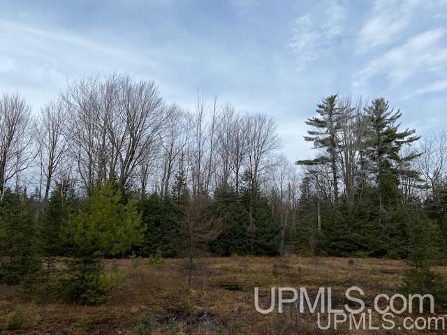 5994 Linden Road Manistique, MI 49854 - Photo 3 of 13 Gallery Image 3