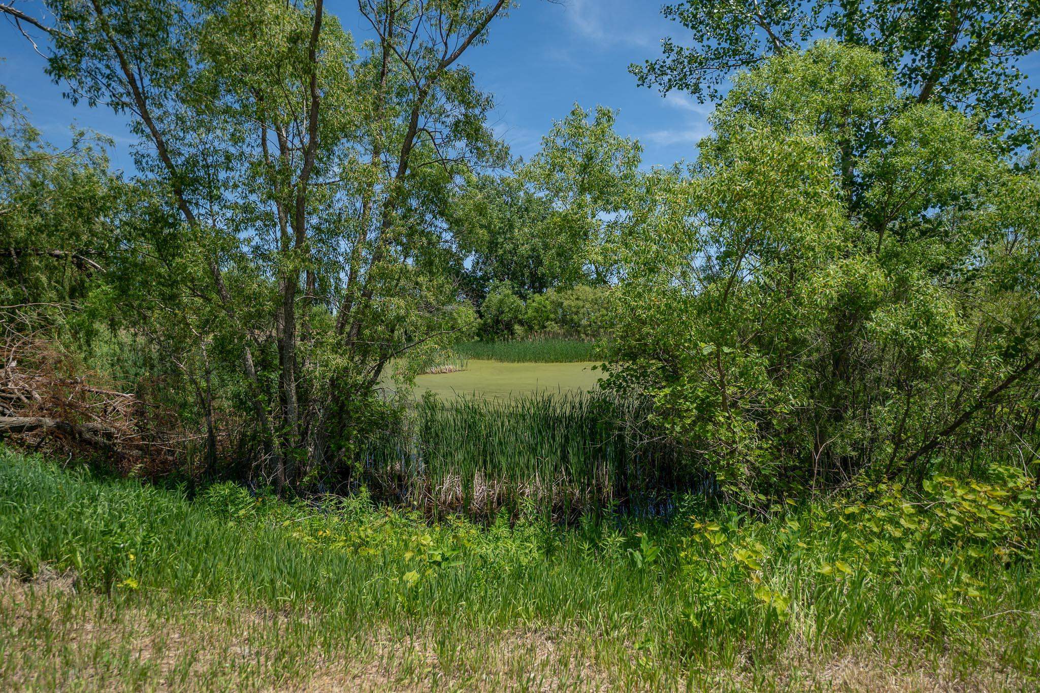 0 North Mulford Road Monroe Center, IL 61052 - Photo 14 of 26
