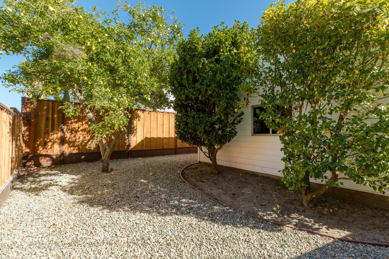 2891 Scriver Street Santa Cruz, CA 95062 - Photo 25 of 30 a view of a yard with a tree