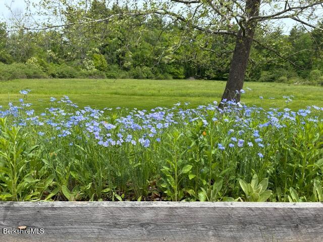 42 Mt Washington Road Egremont, MA 01230 - Photo 18 of 20 IMG_6865