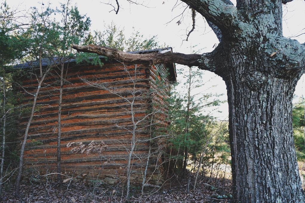 Cooksburg Road Chatham, VA 24531 - Photo 42 of 50 Gallery Image 42