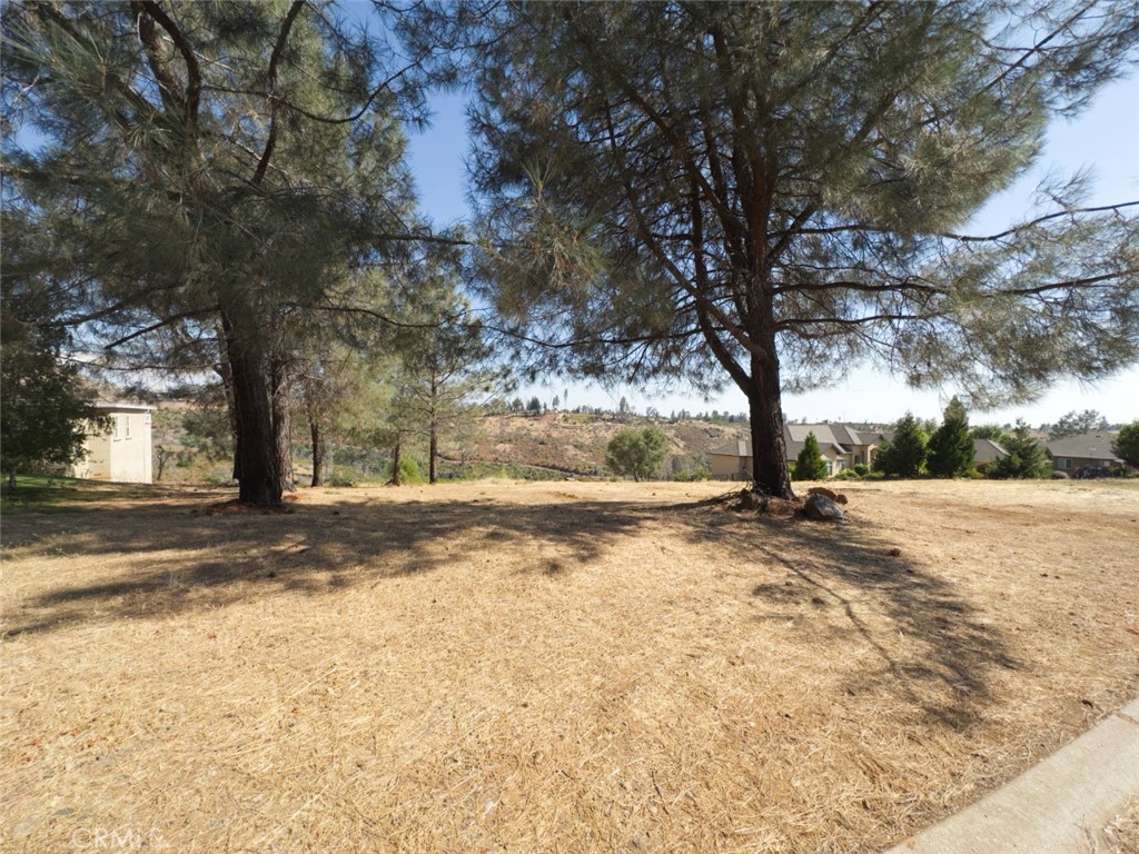 188 Redbud Drive Paradise, CA 95969 - Photo 3 of 8