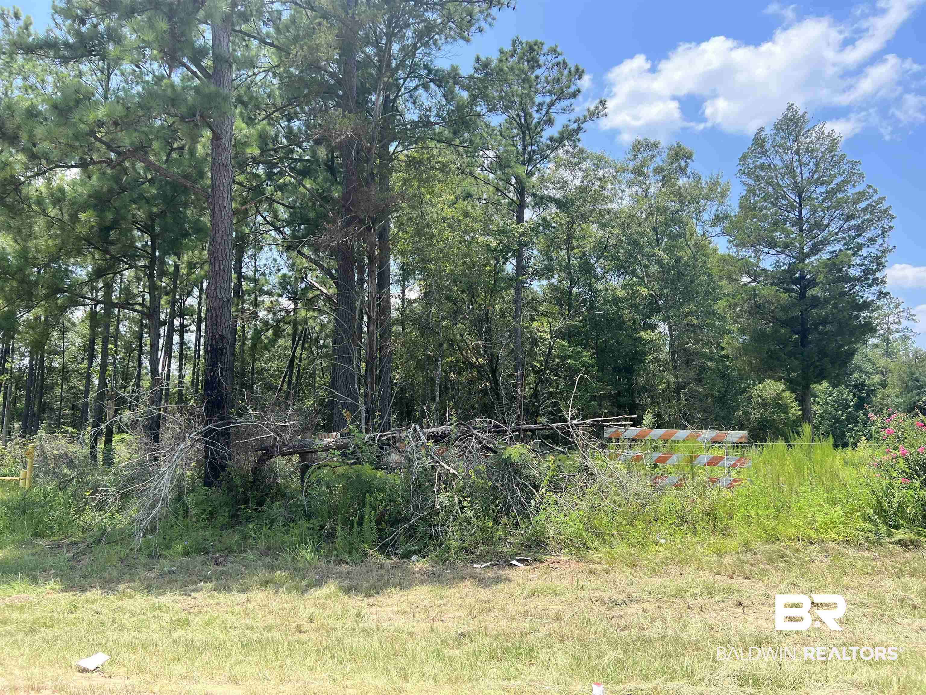 0 Beverly Jefferies Highway Citronelle, AL 36522 - Photo 7 of 19