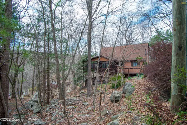 a view of a lake in between two large trees