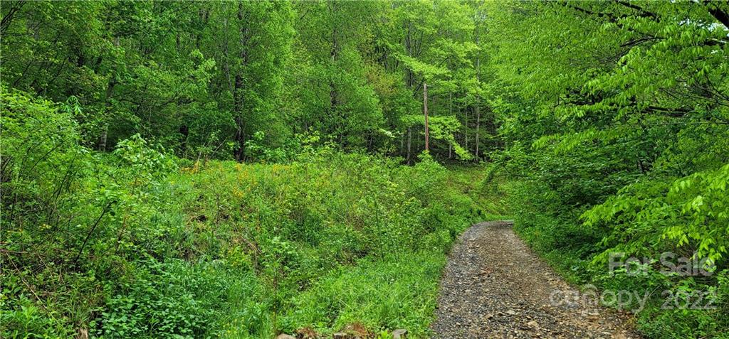 0 Fox Cove Road Mars Hill, NC 28754 - Photo 2 of 8 Gallery Image 2