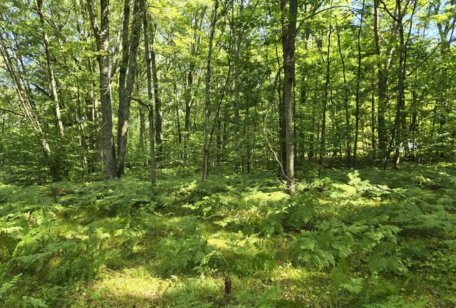 $68,000 | 8859 East Grandview Trail, Reed City, MI 49677