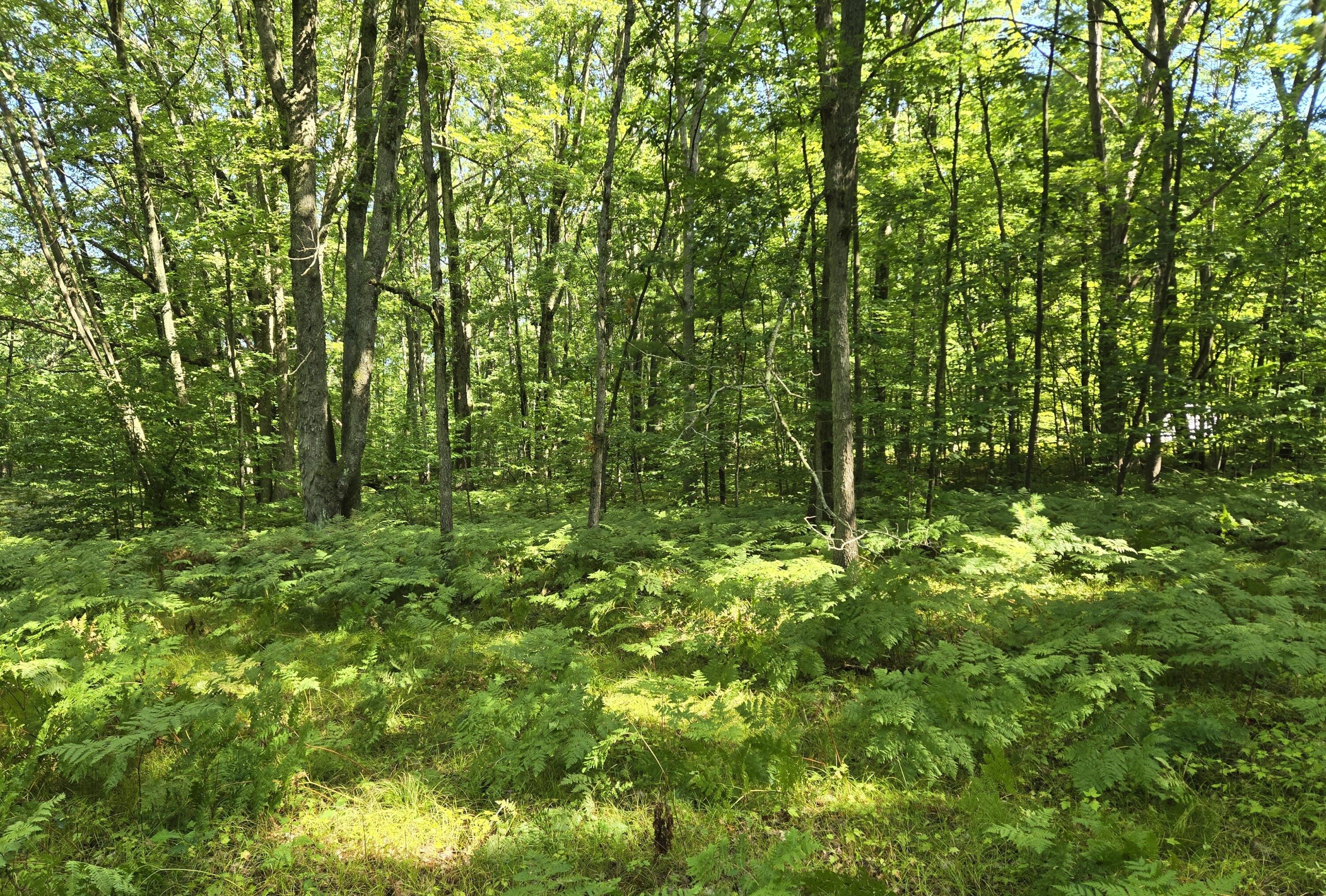 8859 East Grandview Trail Reed City, MI 49677 - Photo 3 of 4 nowacki2