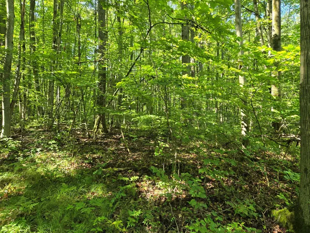 $68,000 | 8859 East Grandview Trail, Reed City, MI 49677