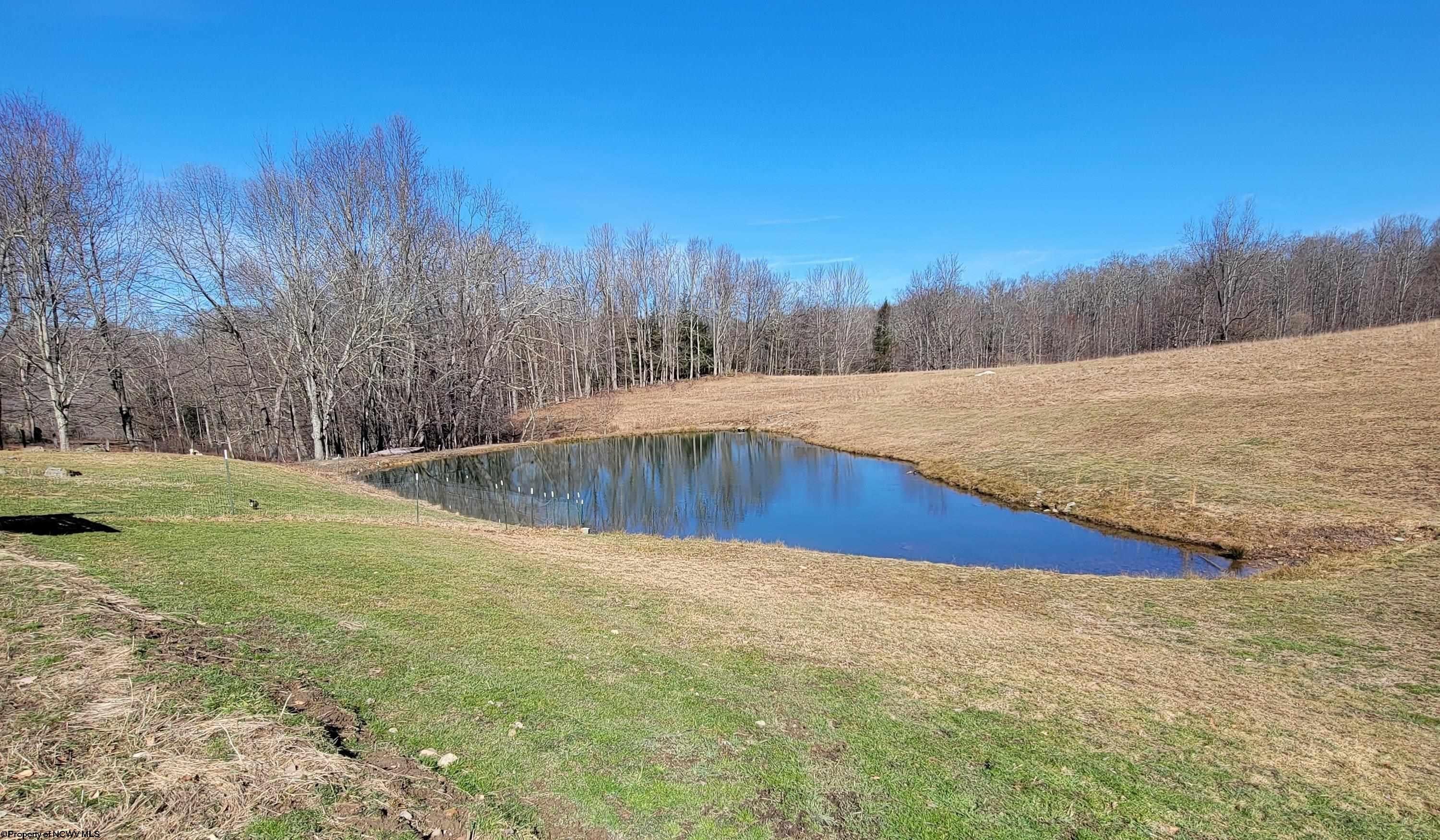 303 Bosserman Farm Road Mabie, WV 26278 - Photo 13 of 16 Gallery Image 13