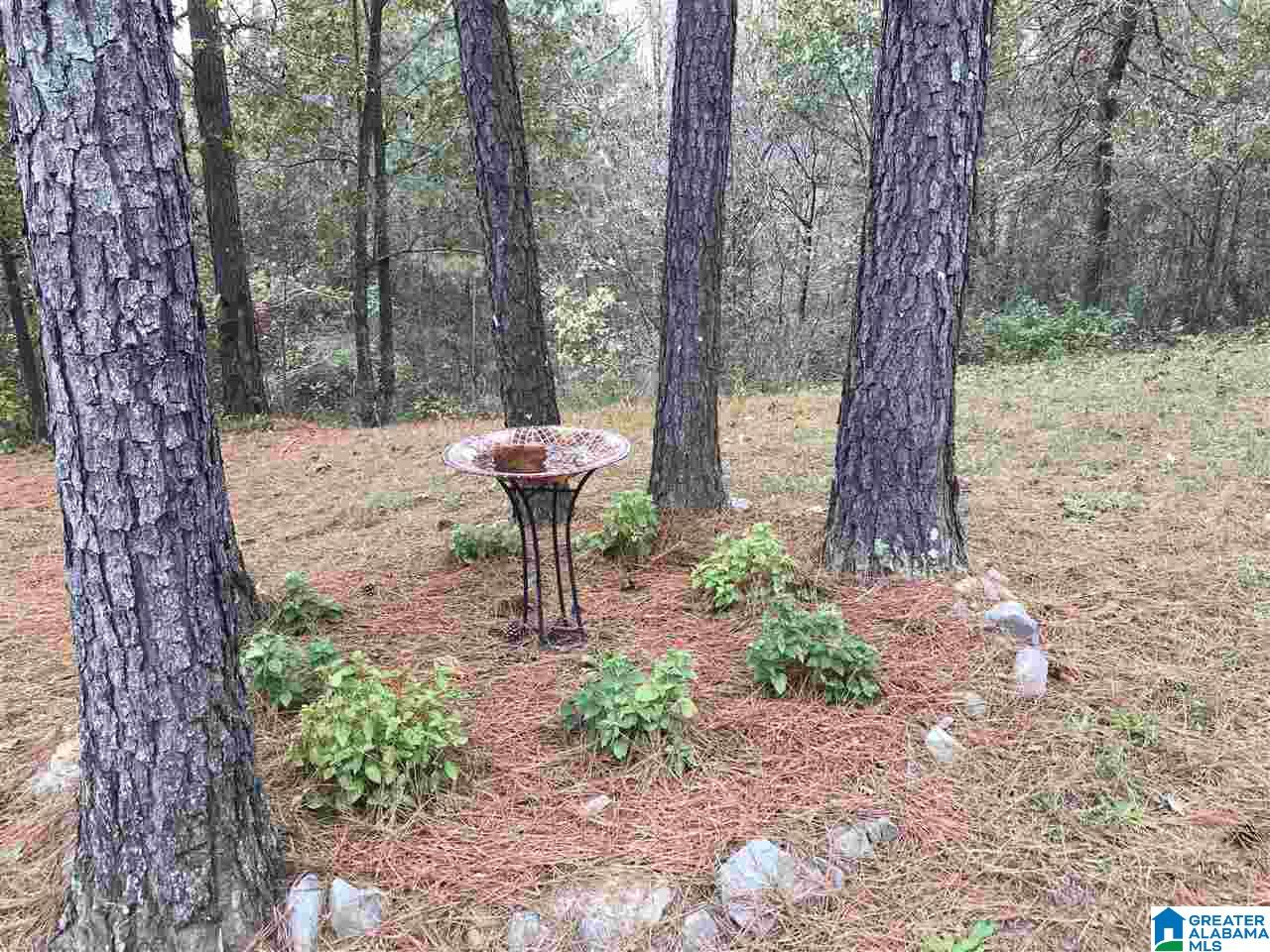 21 Seth Circle Warrior, AL 35180 - Photo 25 of 28