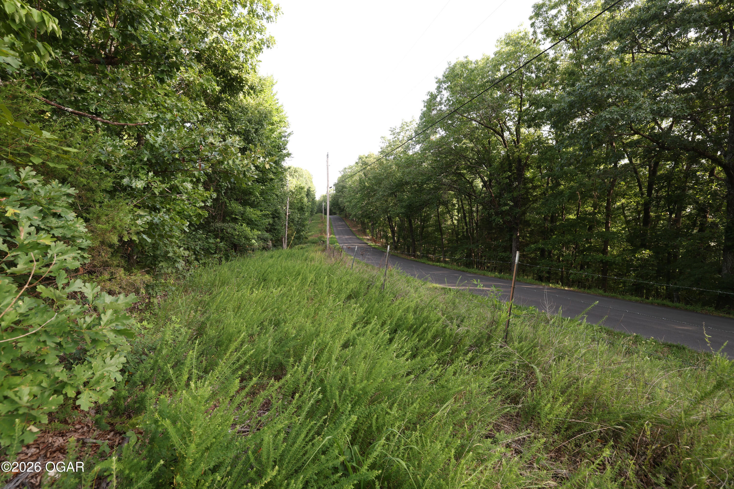 861 Tilden Road Galena, MO 65656 - Photo 13 of 67 Gallery Image 13