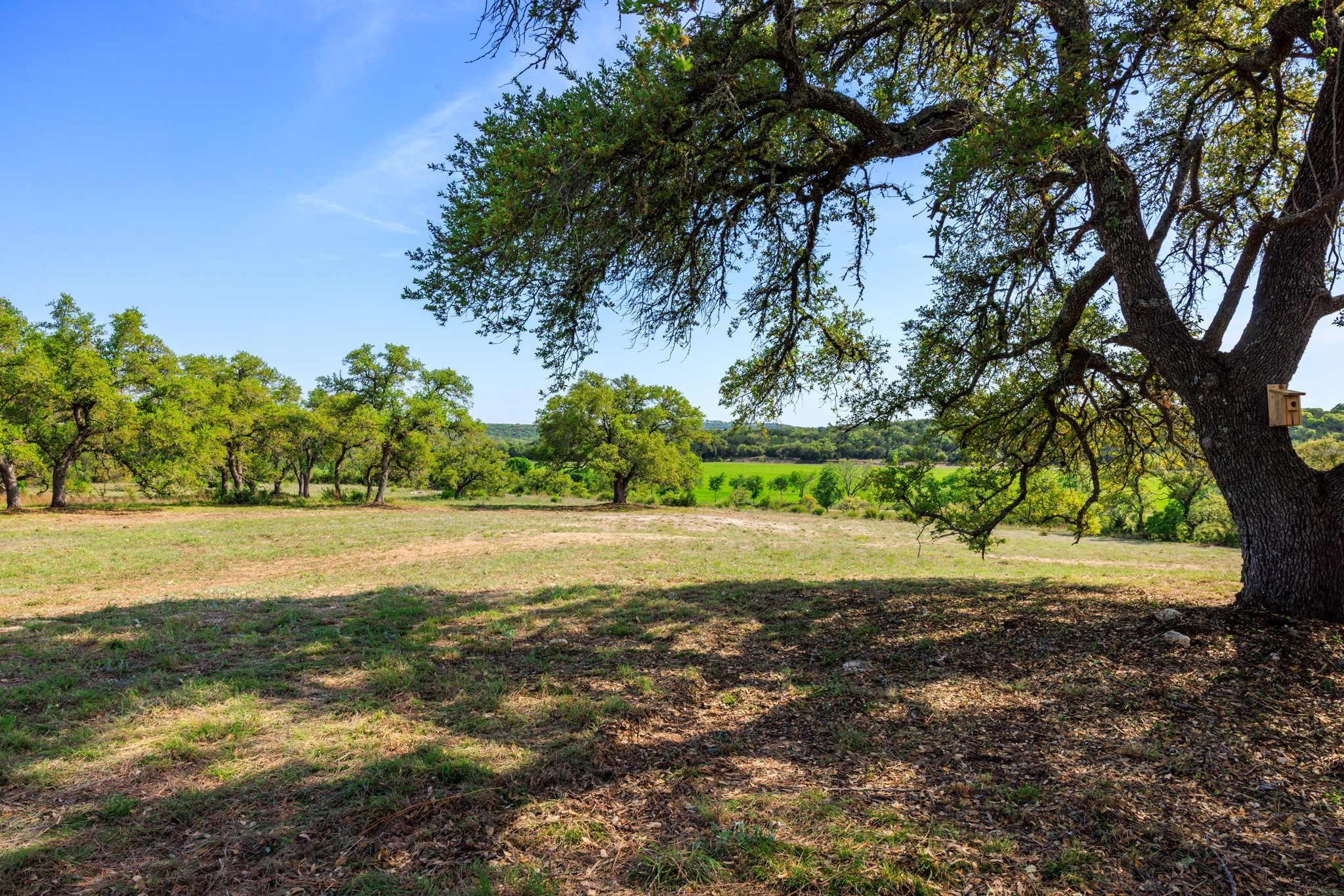 Lot 2 Byrd Ranch Road Johnson City, TX 78636 - Photo 34 of 40 View of landscape
