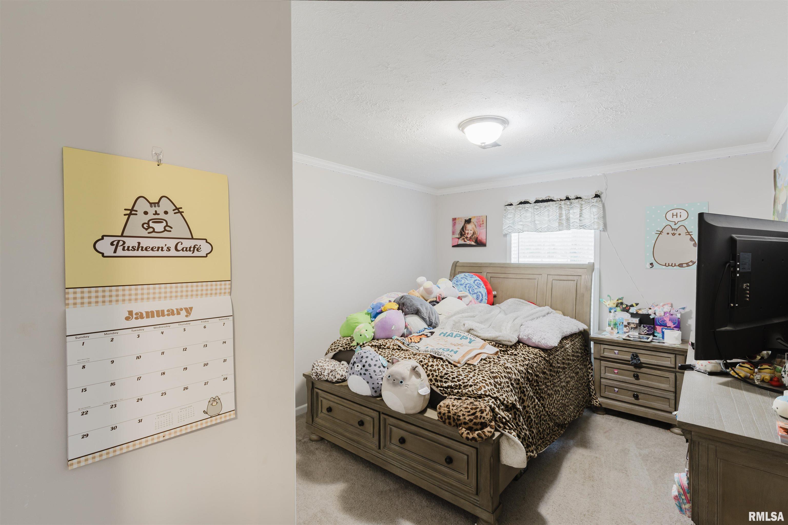 530 East Mine B Road Herrin, IL 62948 - Photo 16 of 27 Gallery Image 16