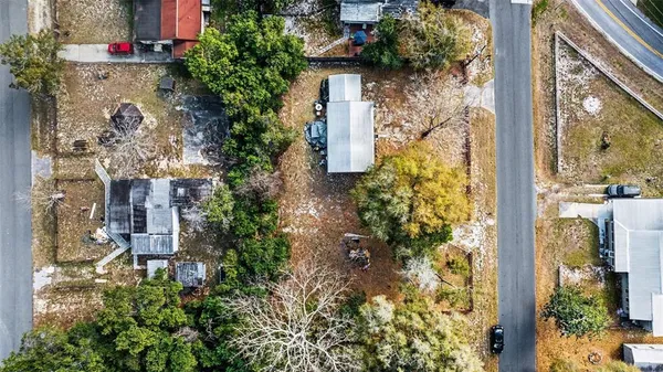 a picture of flowers