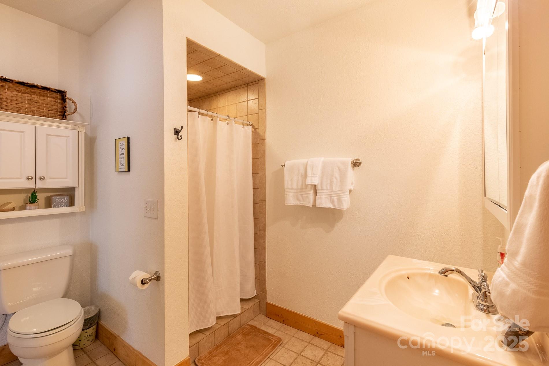 283 Walnut Cv Ridge Bryson City, NC 28713 - Photo 23 of 42 a bathroom with a sink and a toilet