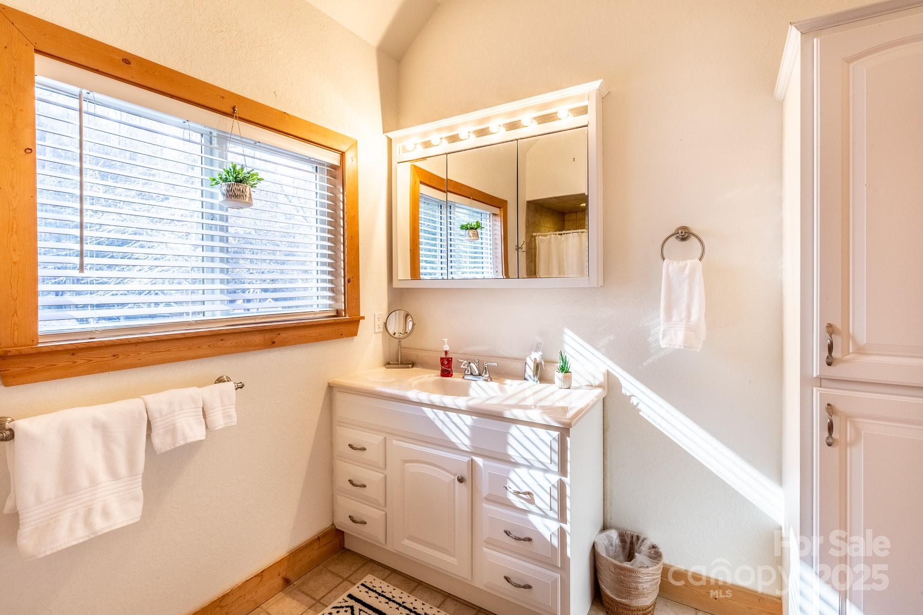 283 Walnut Cv Ridge Bryson City, NC 28713 - Photo 37 of 42 a bathroom with a sink a vanity and a bathtub