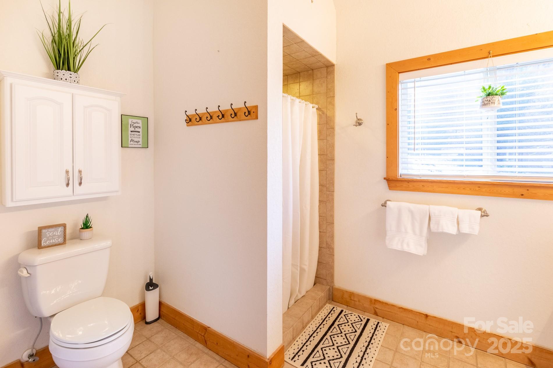 283 Walnut Cv Ridge Bryson City, NC 28713 - Photo 38 of 42 a bathroom with a toilet and a shower curtain