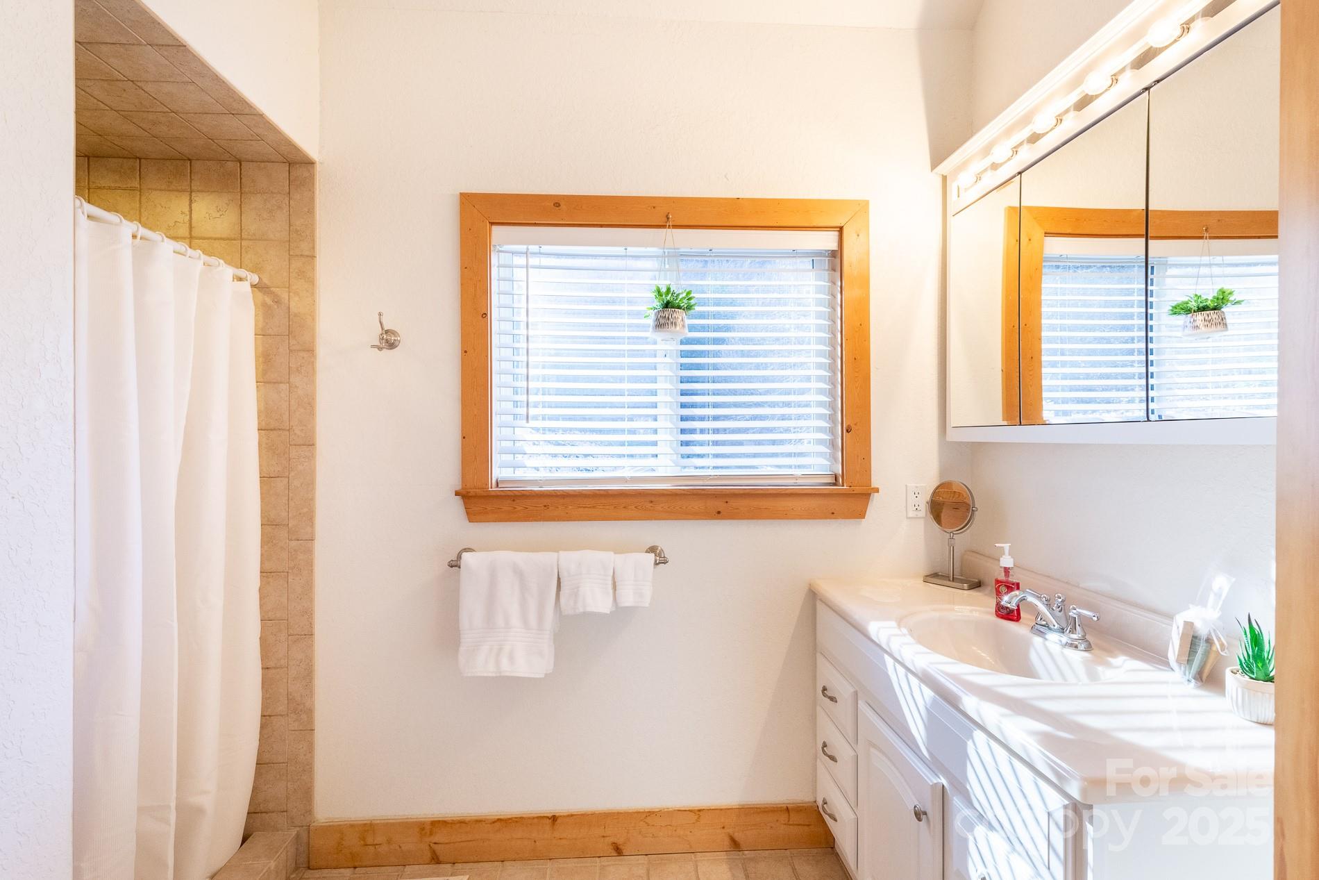 283 Walnut Cv Ridge Bryson City, NC 28713 - Photo 39 of 42 a bathroom with a sink and a window