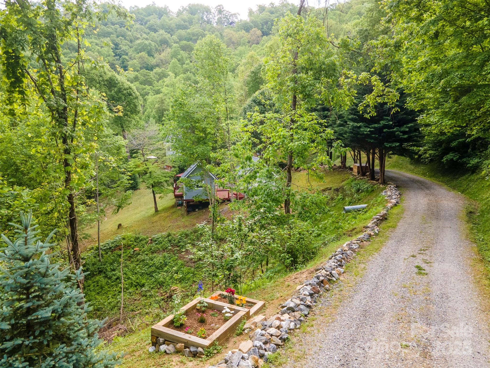 283 Walnut Cv Ridge Bryson City, NC 28713 - Photo 8 of 42 a view of a yard with plants and large trees